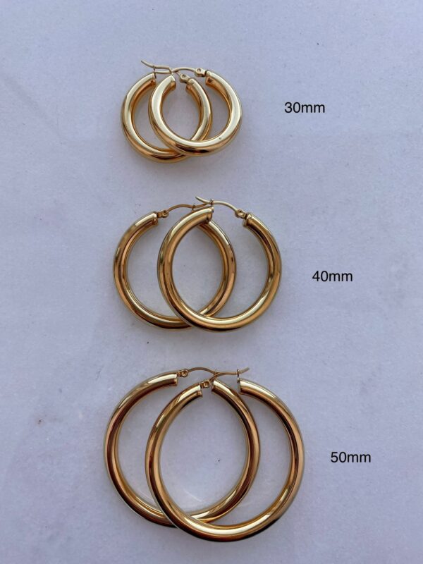 Gold Hoop Earrings