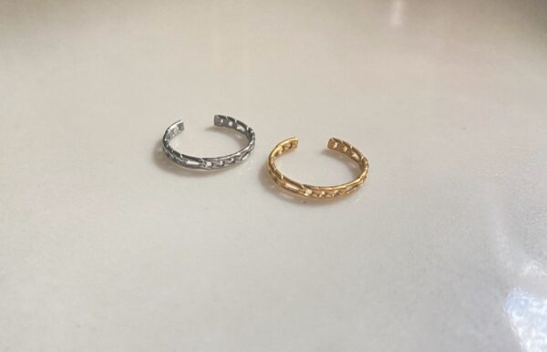 Adjustable Chain ring