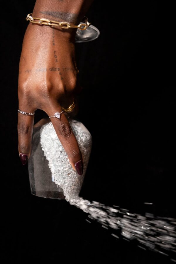 Adjustable Chain ring